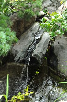 メモリアル八潮 慧光殿 イメージ水